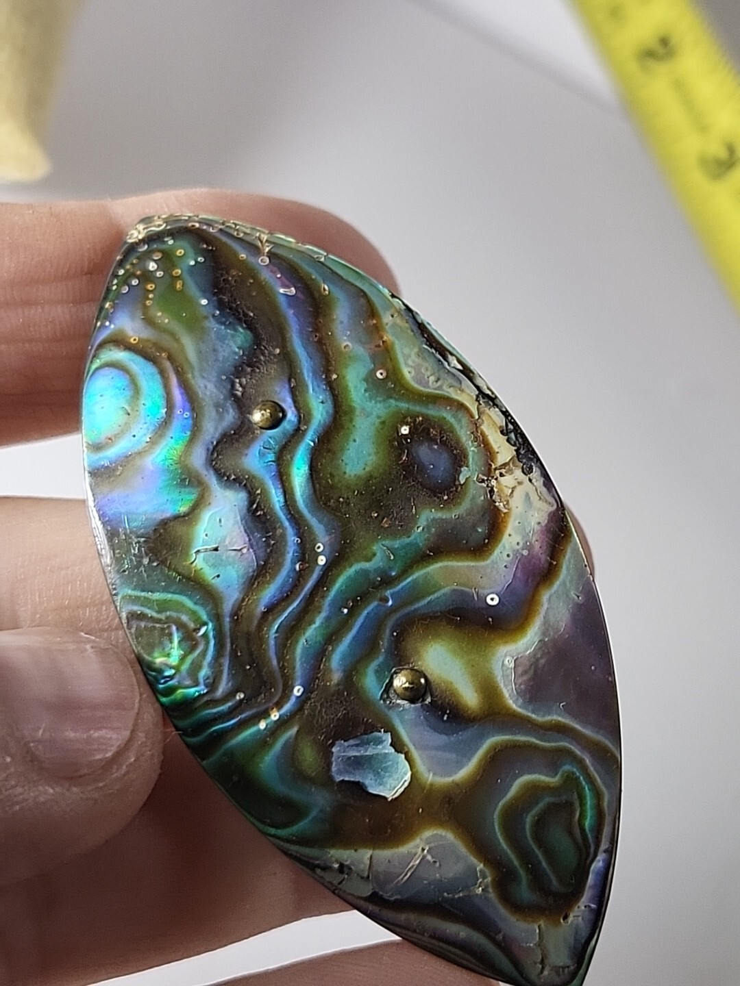 Antique Abalone Shell Brooch - image 6