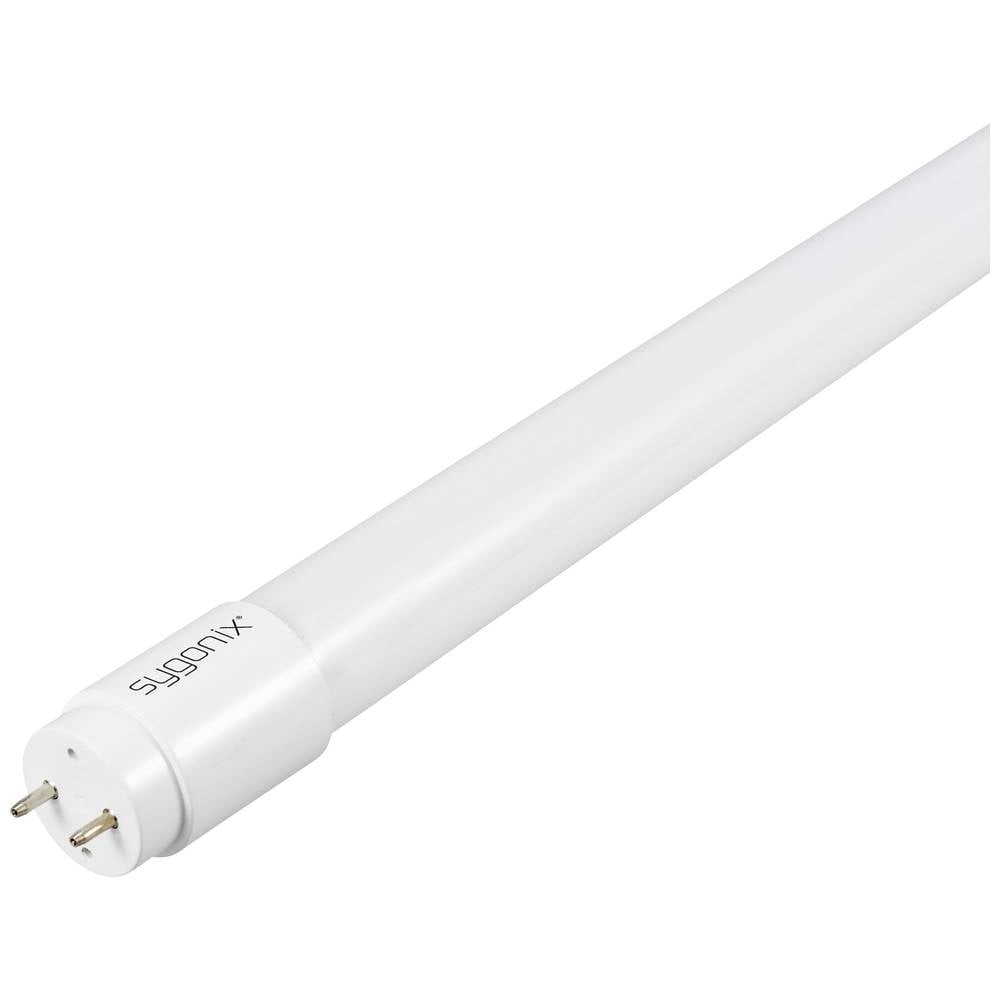 Tube LED G13 T8 Sygonix 17.5W blanc froid de 150cm de long et 28mm de diamètre
