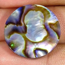 Cabochon En Coquille D'Abalone Naturelle 31,10 Carats 23x6mm Rond