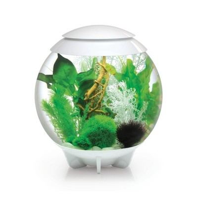 Oase biOrb HALO 30 MCR weiß Dekoration Aquarium Design