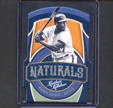 Vladimir Guerrero Sr 2019 Leather & Lumber NATURALS #N12 - HOLO SILVER /25