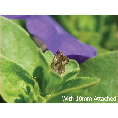 Yasuhara NANOHA Auto Extension 10mm & 16mm Tube Set for Sony NEX Mount 