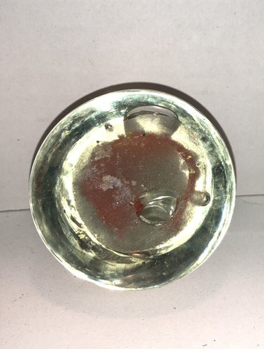 Mundgeblasener Kunstglas Briefbeschwerer Floral Koralle ? Gelb Orange 2,5 Zoll x 2,5 Zoll - Bild 4 von 7