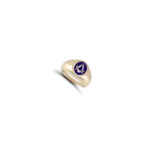 9ct Yellow Gold Enamelled Swivel Centre Masonic Ring