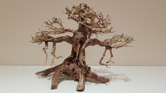 bonsai aquarium decoration