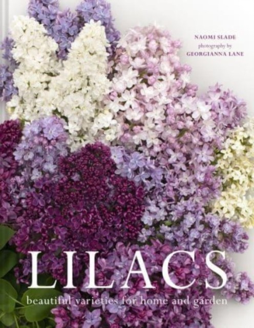 Lilacs: Beautiful varieties for home and garden by Naomi Slade - Image 3