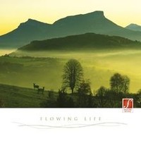 CD Flowing Life: Wellness - Musik Zum WohlfüHlen. Neue Kla... | CD | Zustand Neu