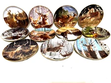 Danbury Mint Pride Of The Wilderness Bob Travers Set Of 11 Collector Plates 8"