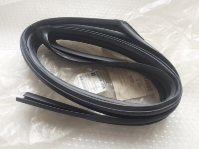 Fensterdichtung Vorne Rechts für Opel Antara Chevrolet Captiva 96624301 OEM