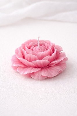 Candle Flower