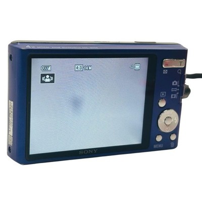 Sony Cyber-shot DSC-W550 14.1MP Digital Camera - Silver for sale