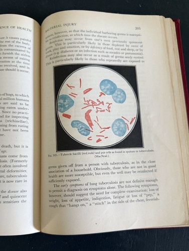 The Science of Health by Florence L. Meredith-illustrated Vintage 1945 Printing - Picture 11 of 12