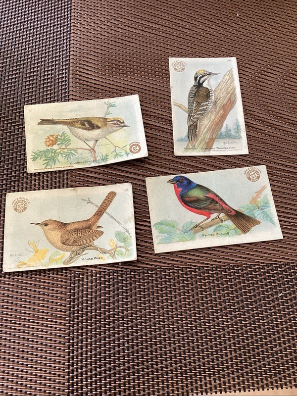 Vintage N.American Songbirds  front M E Eaton  Lot Of 4 Different  Birds