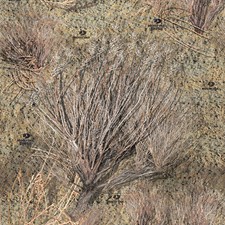 Mossy Oak Brush Vinyl Wrap Air Release Matte Finish 12x12 Mossy Oak Brush Vinyl Wrap Air Release Matte Finish 12x12