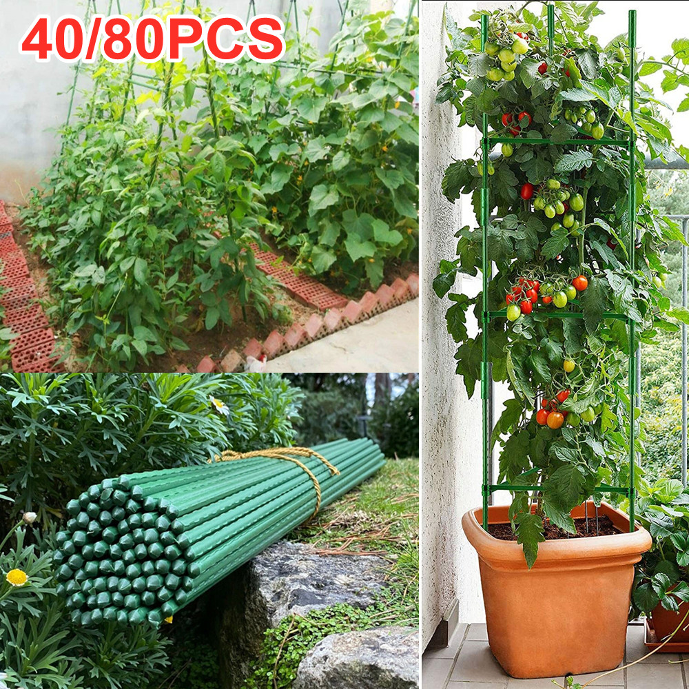 Plastic Coated Metal Garden Stakes Uk Fasci Garden