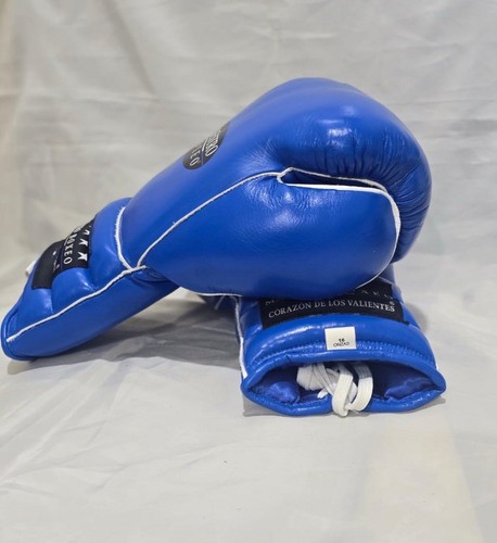 Maestro Boxeo - Picture 8 of 10