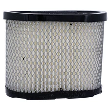 SureFit Air Cleaner Filter Cartridge for Briggs & Stratton 697029 Mower Engines