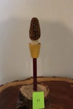 Custom Made Whitetail Deer Antler Morel Turkey Round Tip Pot Striker