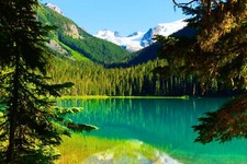 Landscape nature trees lake mountains forest summer Custom Gaming Mat Desk