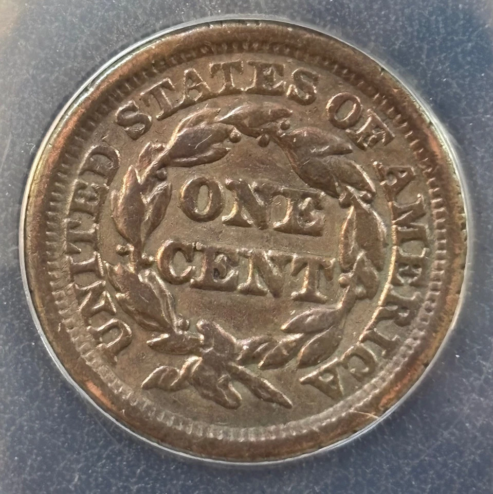 1851 Braided Hair Large Cent 1C ANACS VF20 Details Edge Damaged (#865) - Image 4 of 4