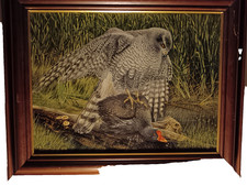 Goshawk /Jay a replica of the original painting on canvas or Ltd edition print
