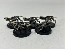 D D Miniature   Harbinger 57 Wolf Skeleton   Uncommon Lot of 5 NM, No Cards 