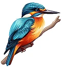 kingfisherhomeandgarden