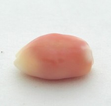CONCH PEARL RARE PINKISH WHITE CERTIFIED NATURAL 2.98 CT