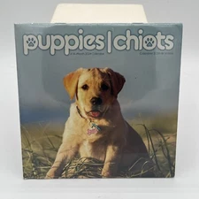 Trends International,  Puppies 2024 Mini Wall Calendar