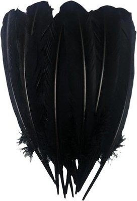 24Pcs Black Turkey Feathers 10~12in Long,Beautiful Feather for Crafts 26-31cm,Bu