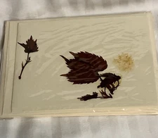 New In Cellophane Vintage Handmade Pressed Leaves Note Cards Set Of 4