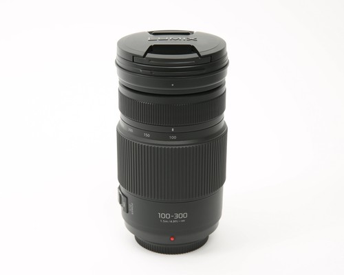Panasonic Lumix G Vario 100-300mm f/4.0-5.6 II POWER O.I.S. Lens | H-FSA100300 - Picture 3 of 7