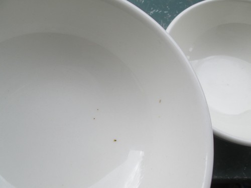 4 Vintage Iroquois Casual China Russel Wright Coupe Cereal Bowls-White-NICE! - Picture 2 of 4