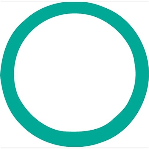 FJC - O Ring (4042)