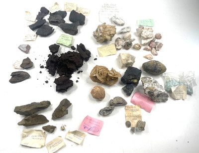Sammlung Mineralien und Fossilien Korallen Muscheln zb. Quartz, Auster, Sandrose