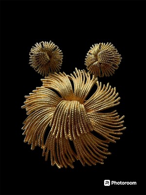 Vintage Monet Brooch With Earrings
