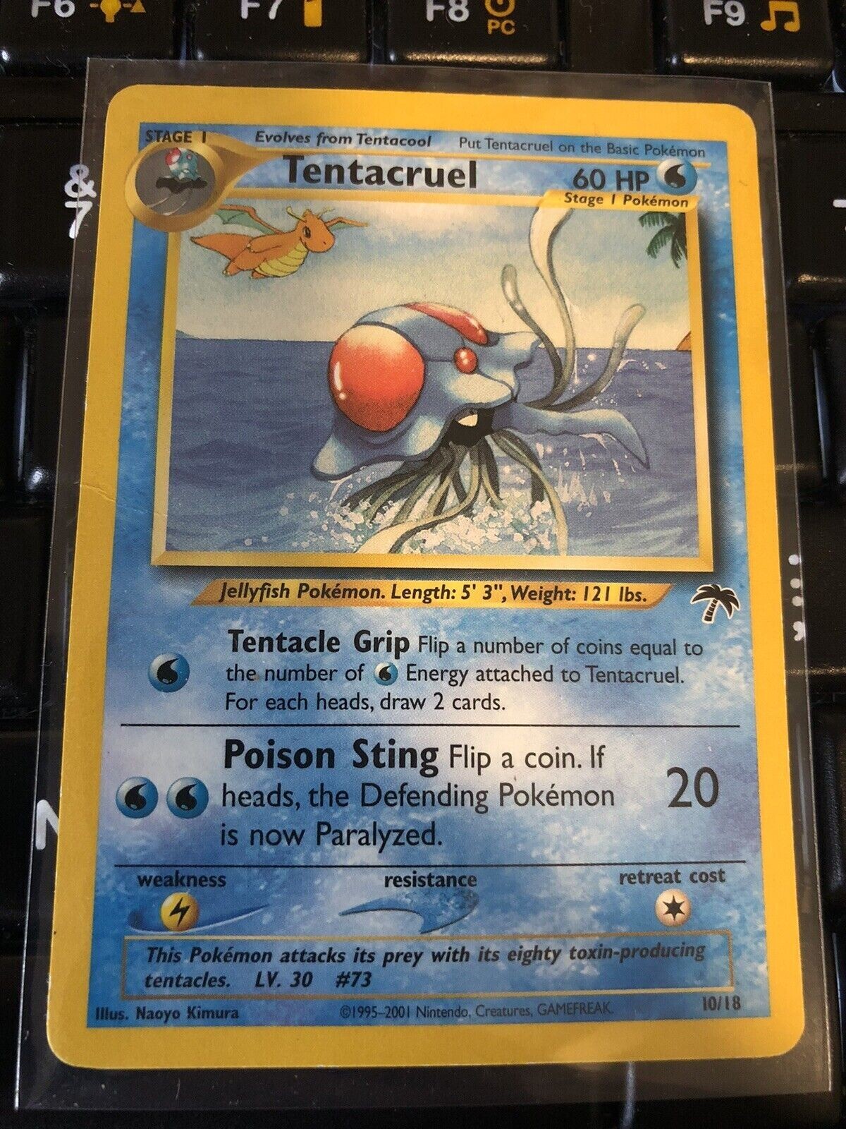 2001 Pokemon Tentacruel 10/18 Southern Islands English Promo NM