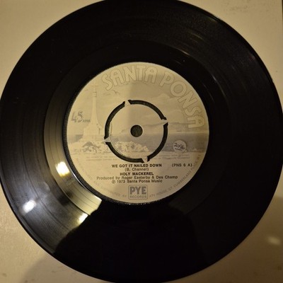 Holy Mackerel - We Got It Nailed Down - 7'' Vinyl Single - VG+ - Free UK Postage 