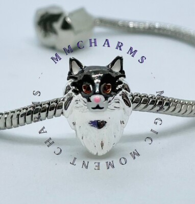 S925 Sterlingsilber KATZE Charm & Etui - Maine Coon Perser Stoffpuppe Tabby Wald