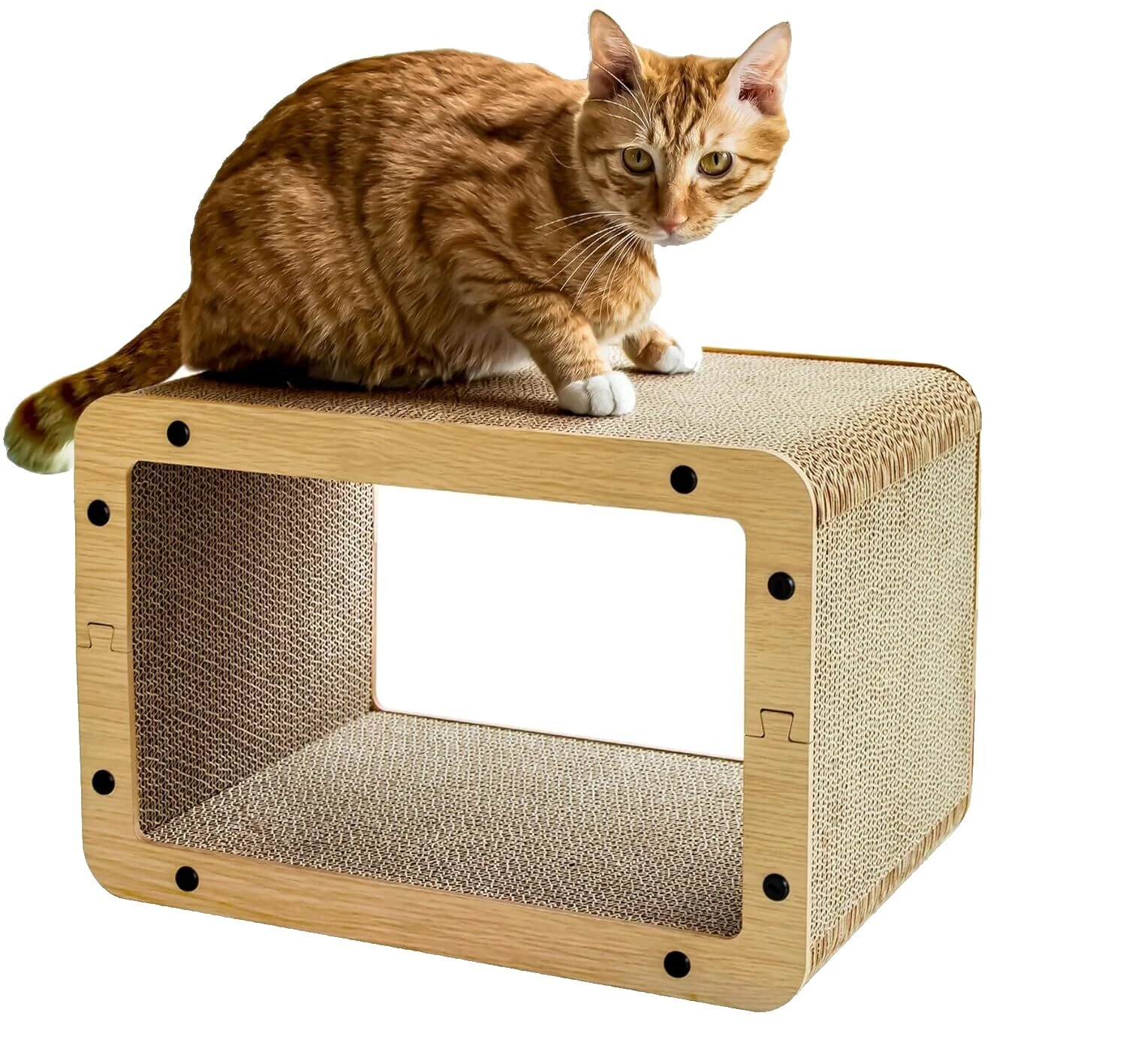 Cardboard Cat Furniture and Scratchers