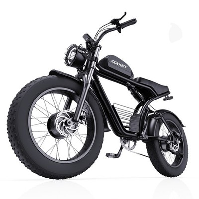 3000W Peak Dual Motors Electric Bike E-Mountain Dirt Ebike Motobike for Adults