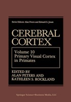 Alan Peters (U. A.) | Cerebral Cortex | Taschenbuch | Englisch (2013)