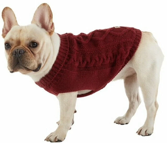 Ugg dog on sale