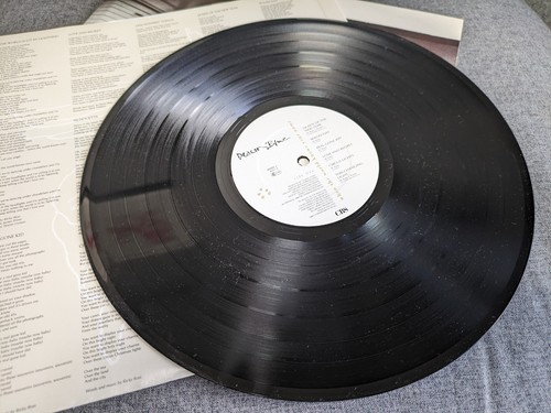 DEACON BLUE WHEN THE WORLD KNOWS YOUR NAME 1st Press Vinyl LP - Imagen 4 de 5