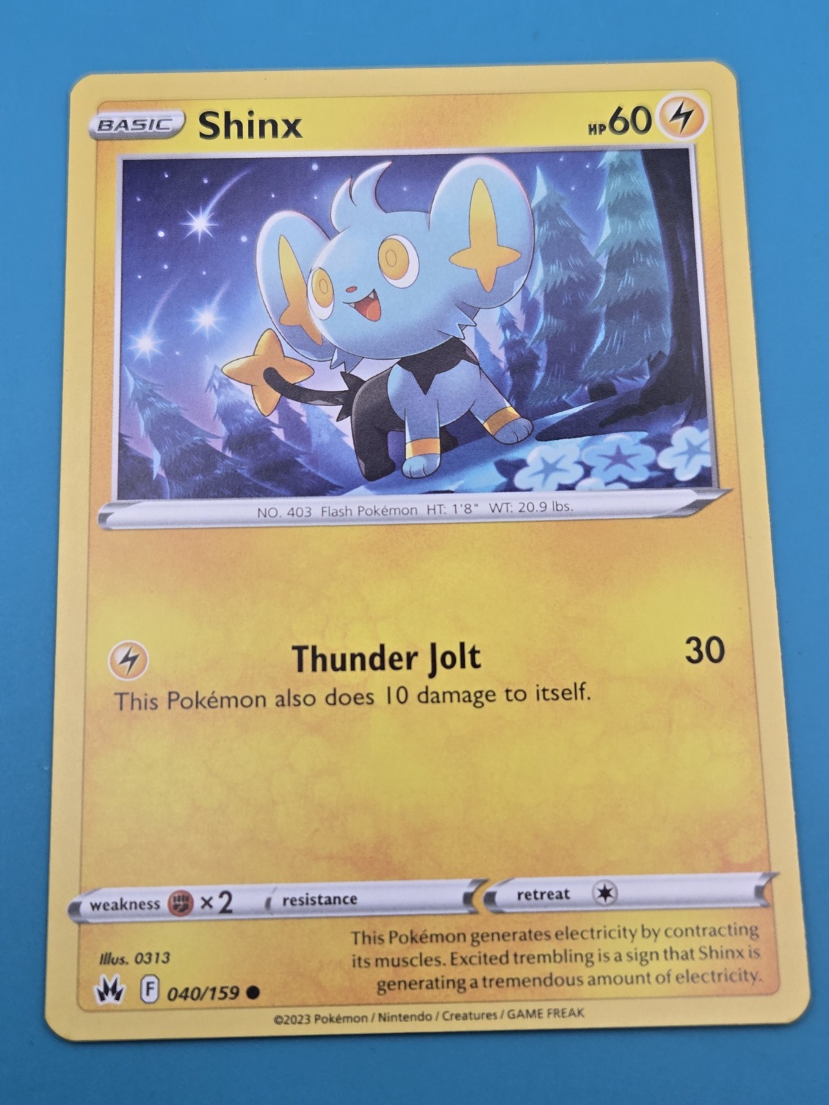 Pokemon Crown Zenith Shinx Common Card 040/159 NM