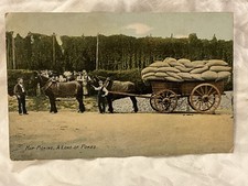 KENT HOP PICKING  A Load Of Pokes !900s POSTCARD