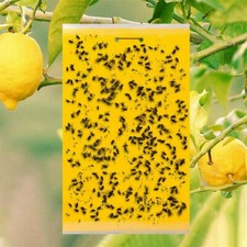 20Pcs Eco friendly Yellow Sticky Fly Catchers Professional Dual-Sided Pest Traps