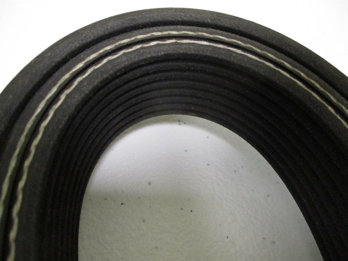 3625293C2 NEW INTERNATIONAL FLEETRITE 8PK1979 SERPENTINE BELT 
