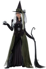 Brand New Gothic Witch Adult Costume