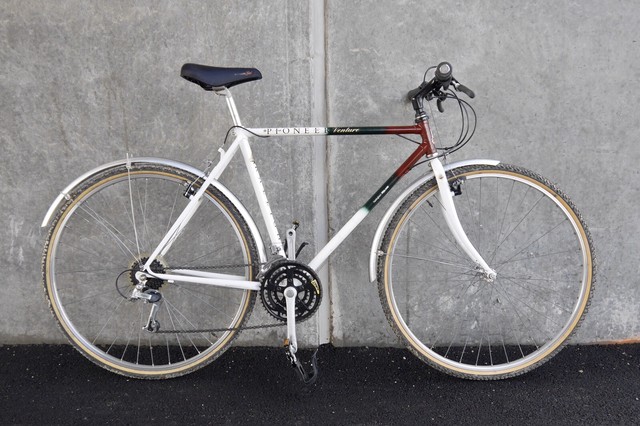 raleigh pioneer trail womens